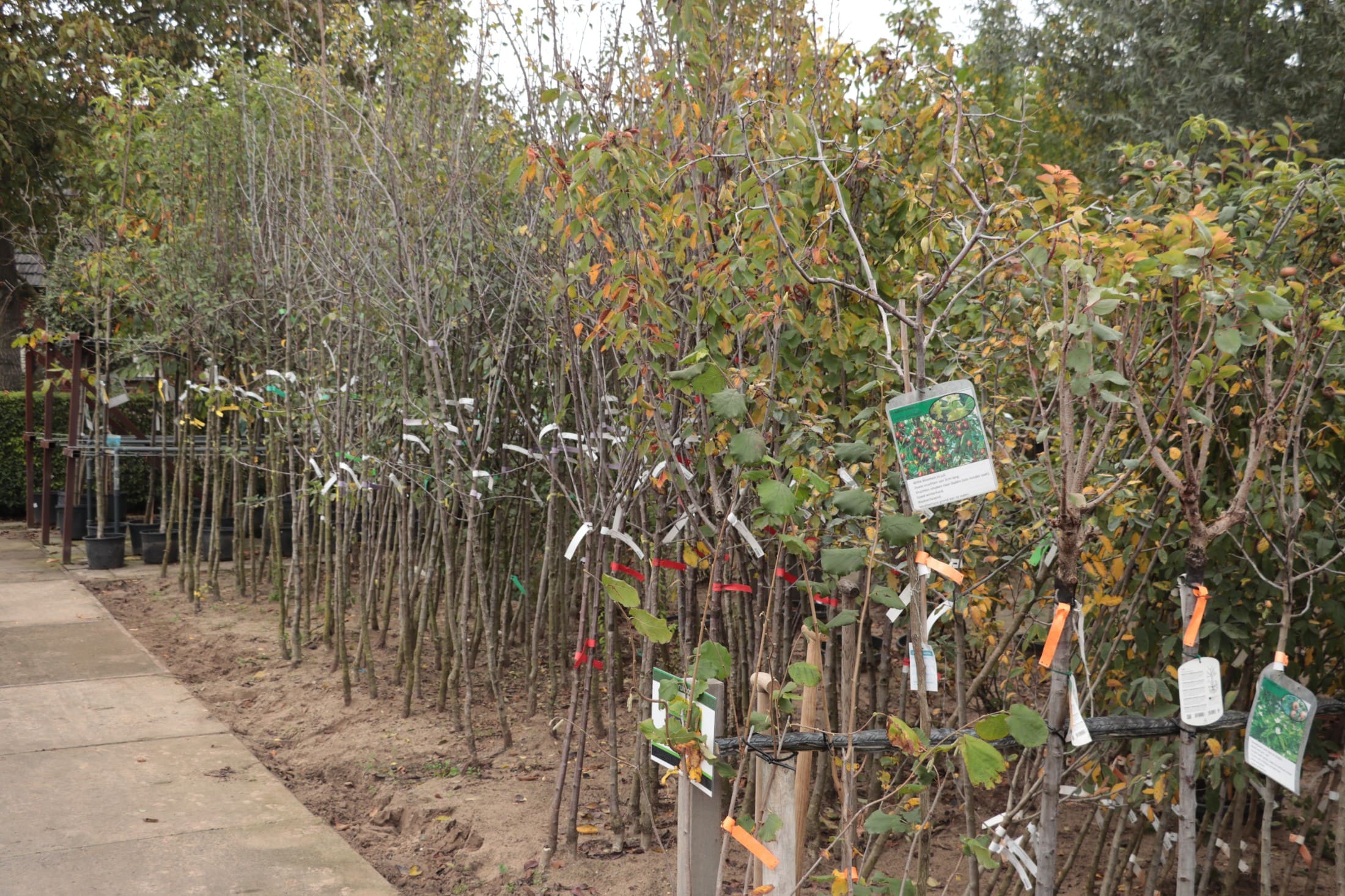 Groeiend Groen Plantencentrum