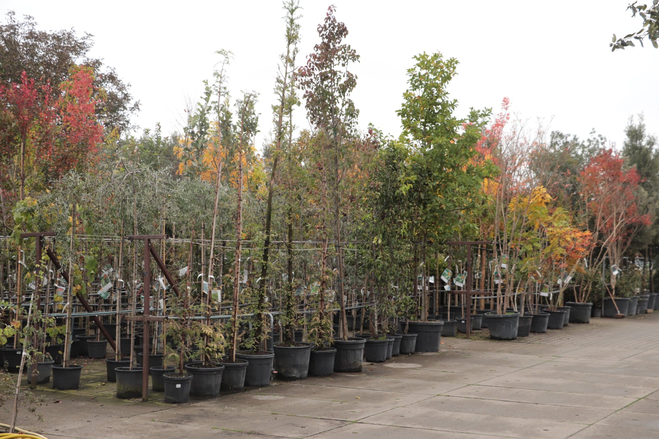 Groeiend Groen Plantencentrum