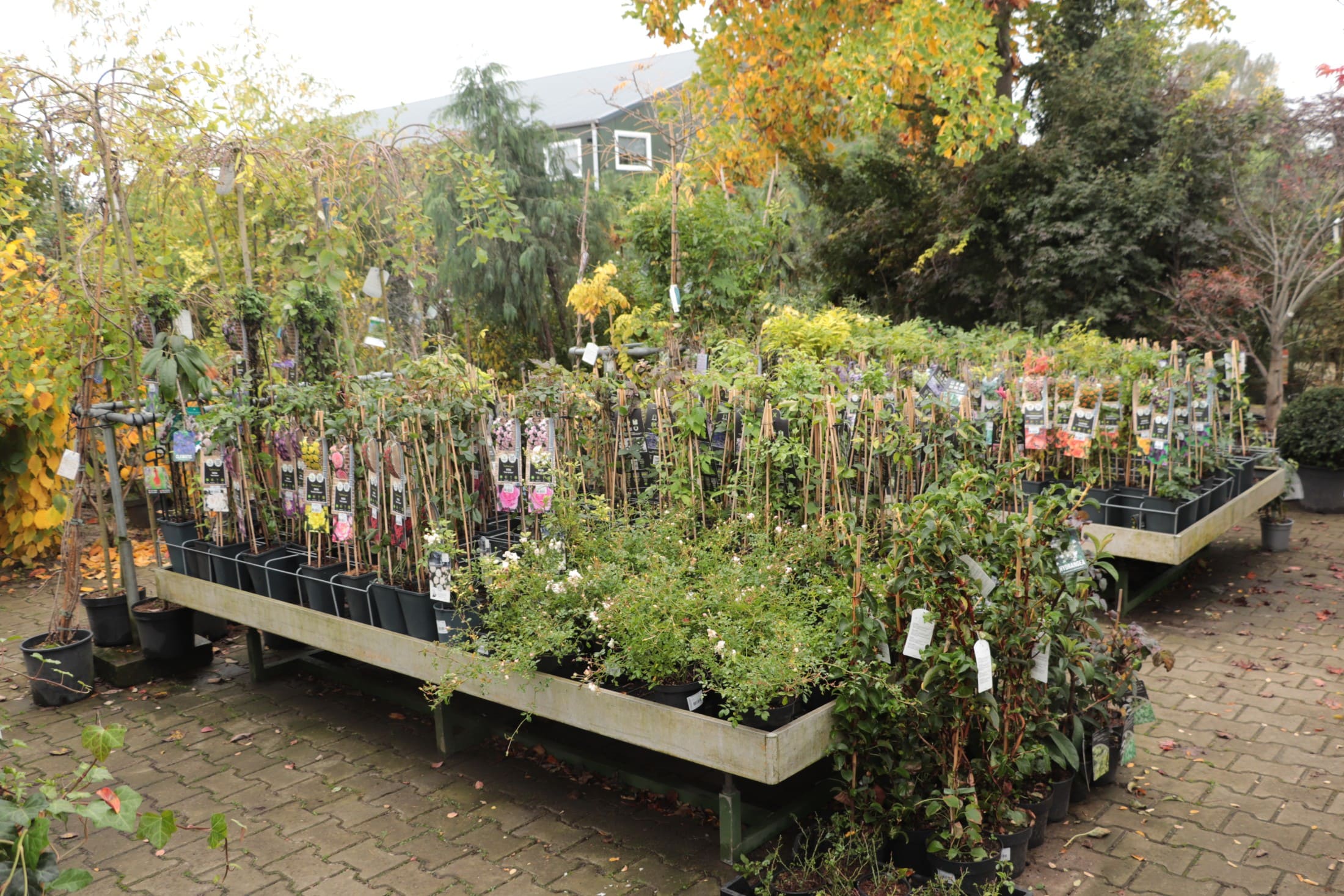 Groeiend Groen Plantencentrum